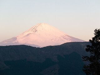 Morning view of Mount Fuji in Japan