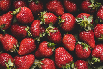 Fresh Organic Strawberries Closeup