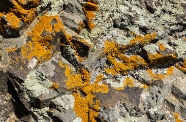 Detail of a limestone rock. Geological formation in mountains. 
Lichen on the rock. Lake Sevan, Armenia