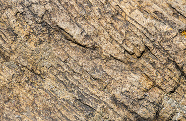 Detail of a limestone rock. Geological formation in mountains. 
Lichen on the rock. Lake Sevan, Armenia