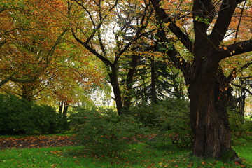 岩手県北上市　紅葉の展勝地