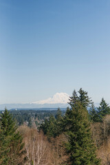 Mount Rainier in the distance. Beautiful spring landscape