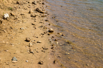 Fototapeta na wymiar Sandy shore with stones near a pond with clean clear water