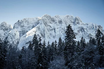 Deurstickers Alpi Giulie innevate  © Andrea Pittini