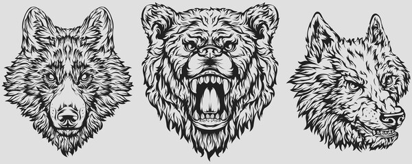 Fototapeta premium Head of bear, dog, wolf. Abstract character illustration. Graphic logo designs template for emblem. Image of portrait. 