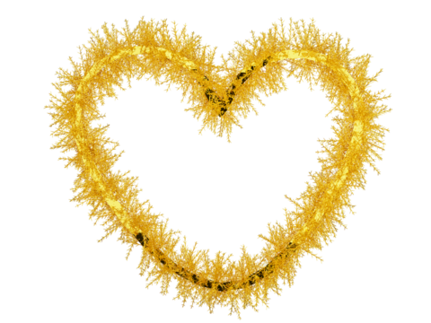 A bunch of Golden pine tree make a shape of heart for Valentins's Day and Merry Christmas Concept isolated on transparent background concept.