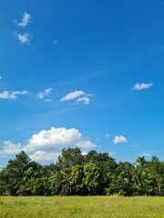 Fototapeta na wymiar bright blue sky with green trees, very beautiful