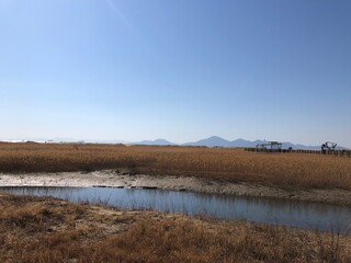 landscape with a river