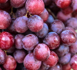 Purple grapes with blur background