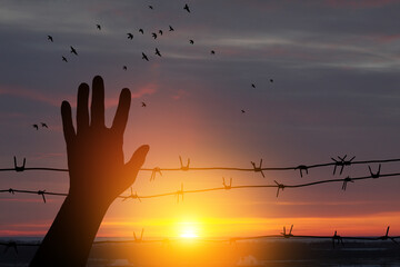 International Holocaust Remembrance Day. January 27. silhouette of hand with barber wire on...