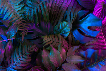 Tropical leaves in vibrant gradient holographic neon colors. Minimal jungle background. Creative...