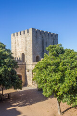 Fototapeta na wymiar Tower on the courtyard of the historic castle in Elvas, Portugal