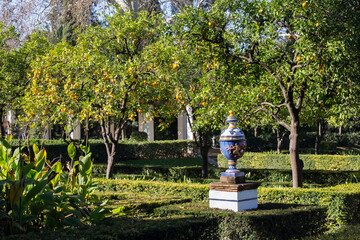 Obraz premium Andalucian garden with orange trees and blue porcelain vase in Seville