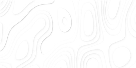 Abstract wavy line 3d paper cut white background. Topographic canyon geometric map relief texture with curved layers and shadow. Abstract realistic papercut decoration textured with wavy layers