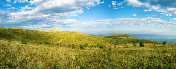 Fototapeta na wymiar Panorama of summer mountain landscape. Hills overgrown with green grasses and blueberry bushes under a blue sky with light clouds. Atmosphere of summer serenity