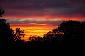 Sunset over the forest