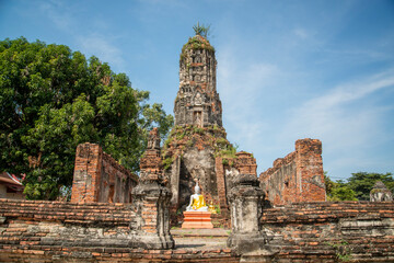 Obraz premium THAILAND AYUTTHAYA WAT CHOENG THA