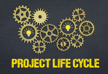 project life cycle	