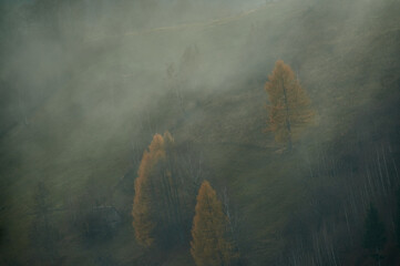 Misty autumn countryside landscape in the Carpathian mountains