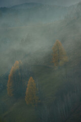 Misty autumn countryside landscape in the Carpathian mountains
