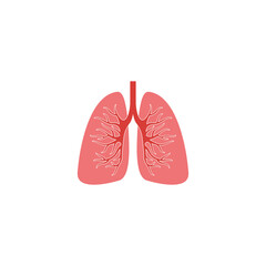 Human lungs flat icon isolated on white background