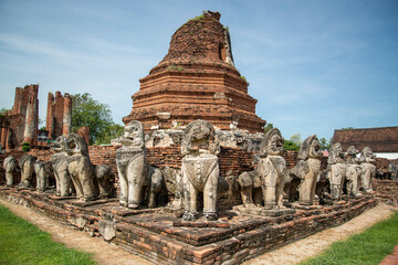 Naklejka premium THAILAND AYUTTHAYA WAT THAMMIKARAT