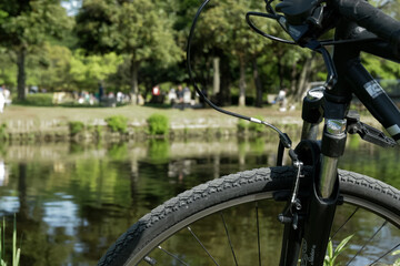 riding old Peugeot bike at lakeside of AgeoMaruyama park, Saitama | 水辺のサイクリング