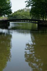 Fototapeta na wymiar pond bridge at AgeoMaruyama park in Saitama, Japan | 公園の池に架かる遊歩橋・上尾丸山公園