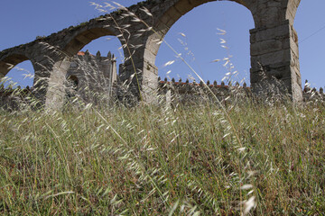 Medieval monastery and aqueduct in the middle of the grass