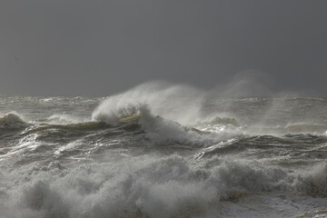 Stormy waves with wind spray