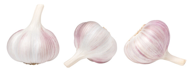 Isolated garlic, transparent png, collection, PNG format, cut out