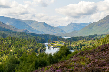 landscape with lake and purple heather