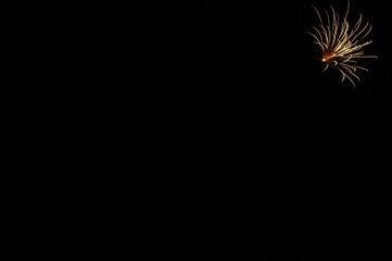 Fototapeta premium Silvesterrakete am Rand