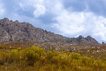 Panorama in the mountains near Porterville with more mountains in the background and green bushes in the front