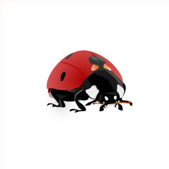 Vector of a ladybug, realistic drawing style with beautiful colors.