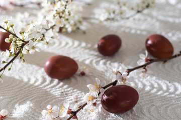 Easter background with colored eggs, colored easter eggs and blooming branches. Easter composition.