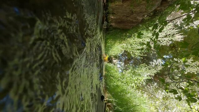 Nahal Kashlon, a stream of fresh water that flows inside the Ein Hamad nature reserve, at the entrance to Jerusalem.