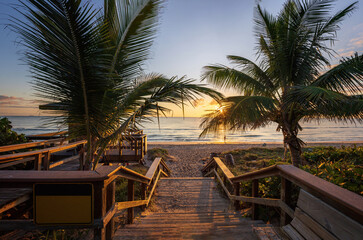The rising sun shines through palm trees on a Florida beach.
