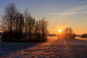 Colorful sunrise with golden sunshine over bushes and trees on a meadow landscape in Siebenbrunn near Augsburg