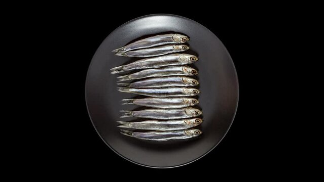 Anchovy european, hamsa fresh, several small fish on plate rotating, turning, close-up macro, top view.

