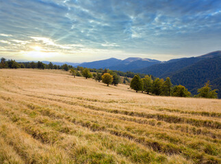 Carpathian Mountains (Ukraine) autumn landscape with country road.