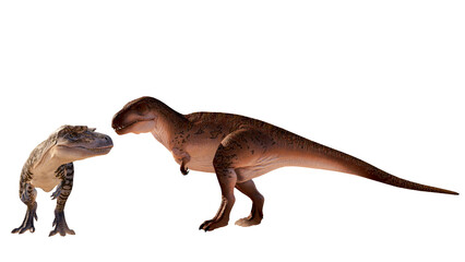 dinosaur albertosaurus vs acrocanthosaurus roaring, fighting isolated on blank background PNG ultra high resolution