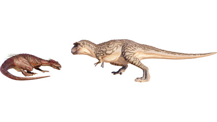 Dinosaur albertosaurus vs Indoraptor roaring, fighting isolated on blank background PNG ultra high resolution