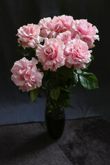 Pink roses on a dark background, French variety