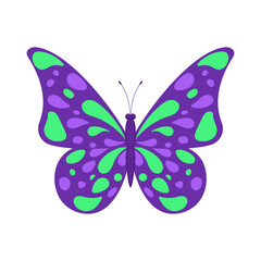 Colorful butterfly isolated on white background. Vector icon, symbol