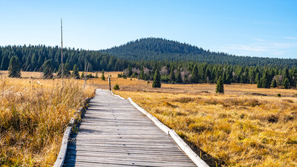 Wooden path in Bozi Dar peat bog nature reservation on sunny autumn day. Ore Mountains, Czech: Krusne hory, Czech Republic