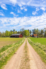 Fototapeta na wymiar Dirt road to a farm in a rural landscape at spring