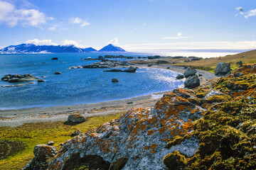 Rocky coast at Svalbard a sunny summer day