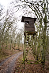 Hunter seat in forest near the path