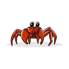 crab isolated on white background